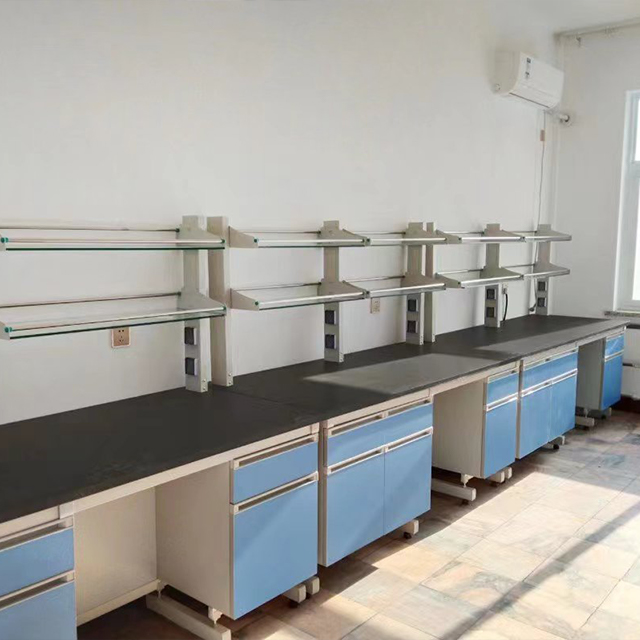 Banco de pared de laboratorio de laboratorio de química Banco lateral montado en la pared con almacenamiento del gabinete